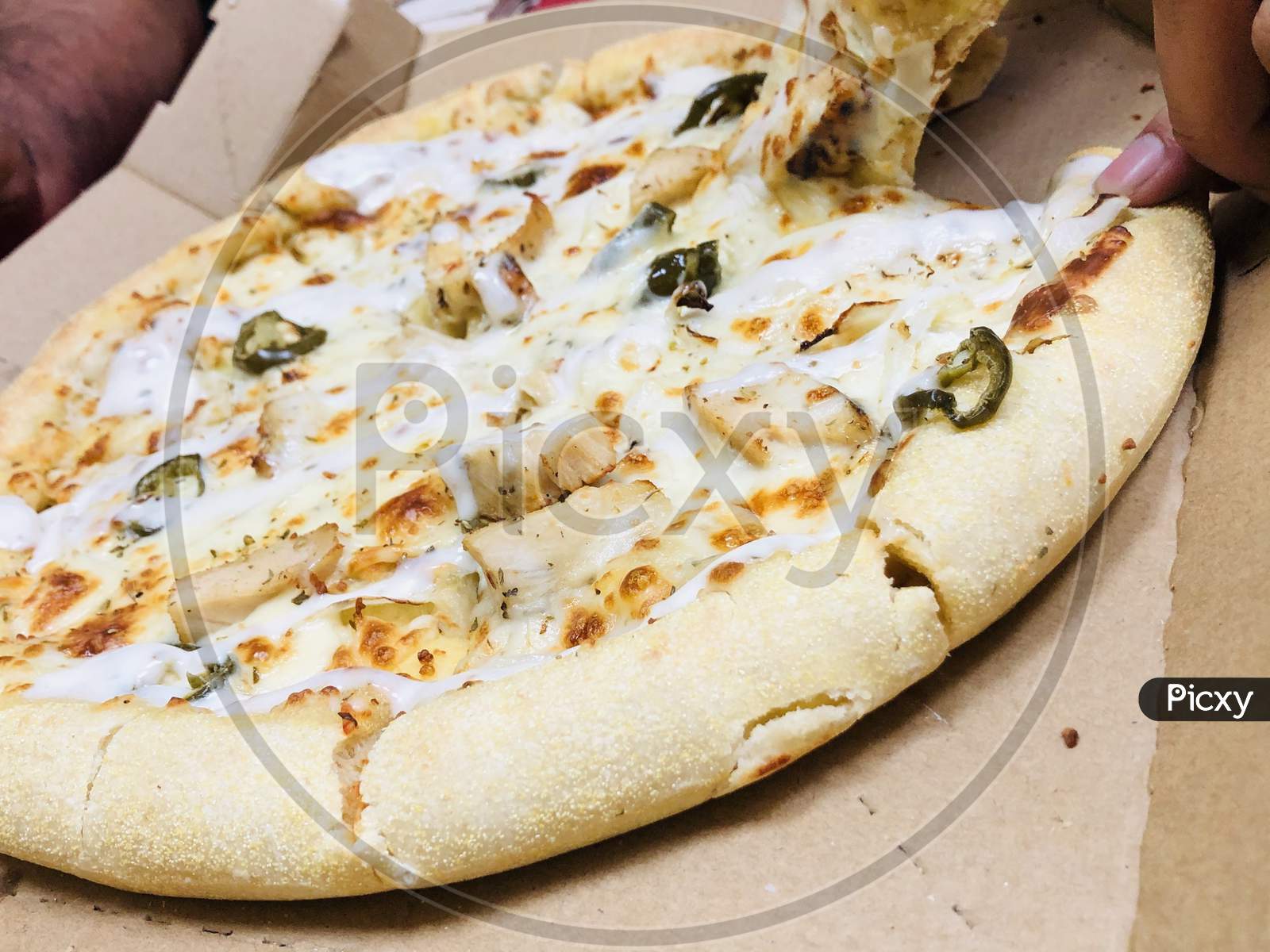 Cuisine italian pizza with cream closeup photography