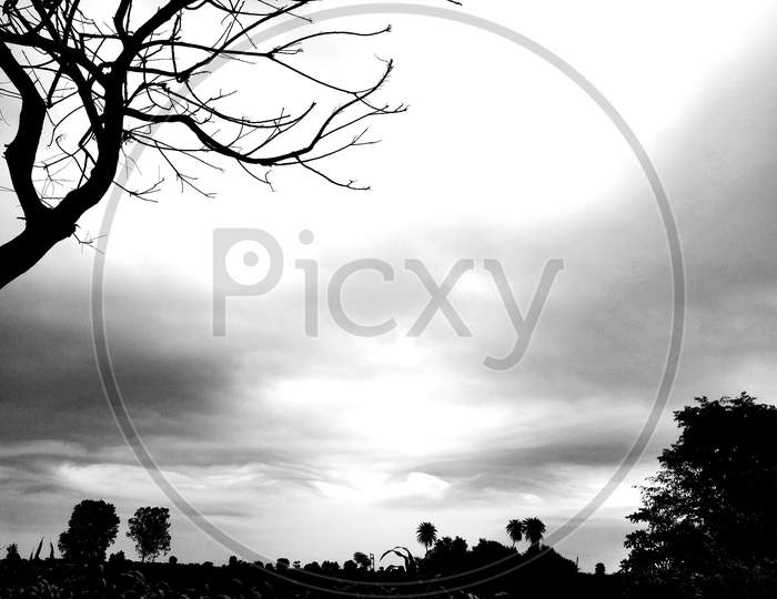 CLOUDY SUNSET WITH TREE