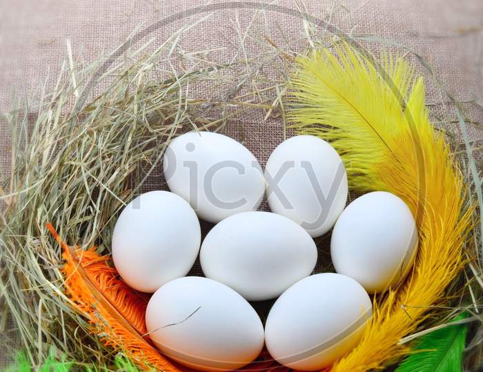Colorful nest with seven white eggs