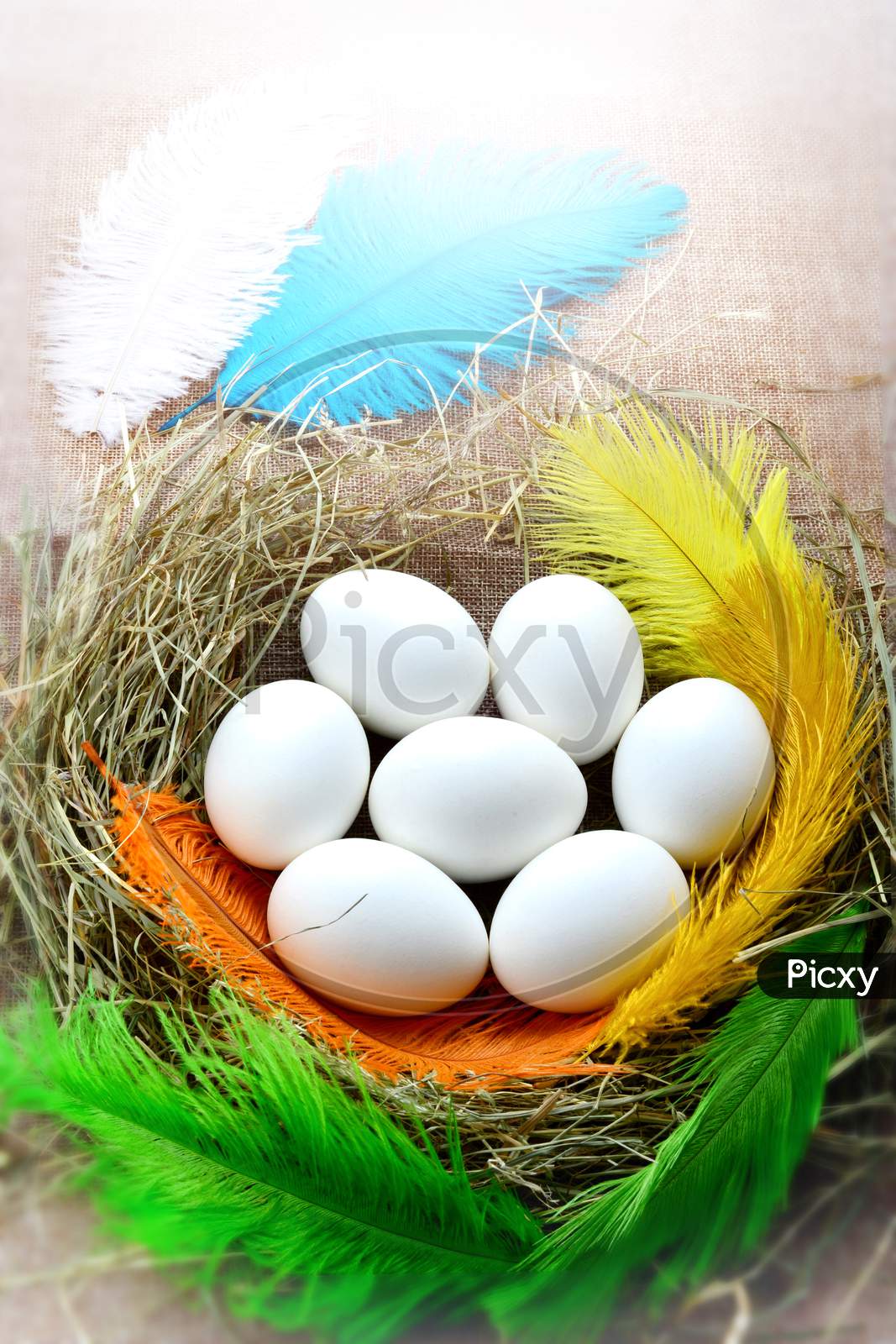 Colorful nest with seven white eggs