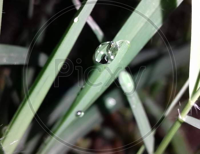 A drop of dew on the grass