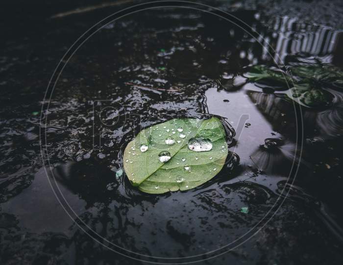 Water Drop On leaf,Micro