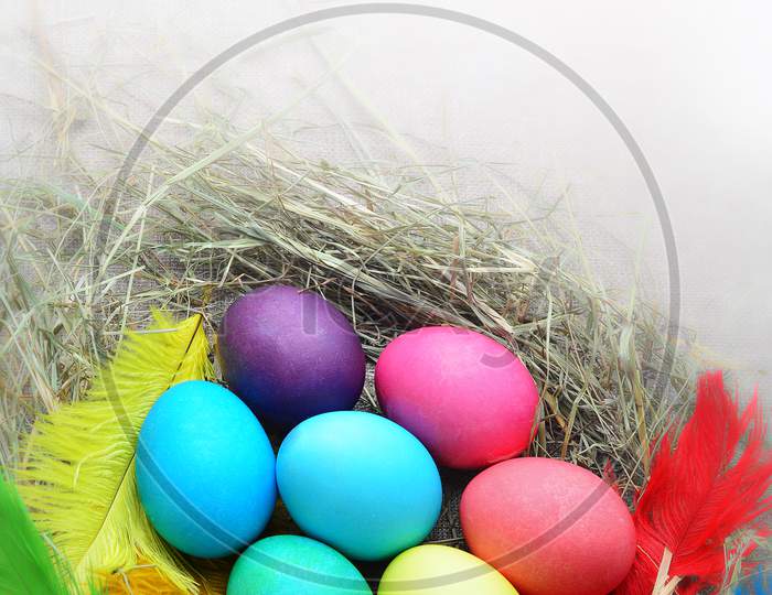 Seven chicken easter eggs rainbow colors with feathers