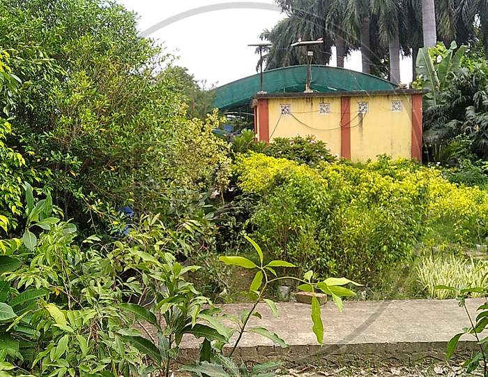 Plant Nursery In Varanasi