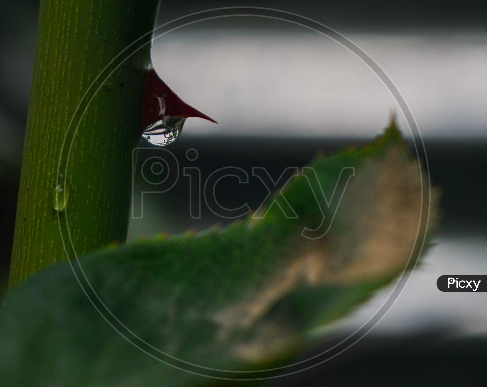 close-up of a waterdrop