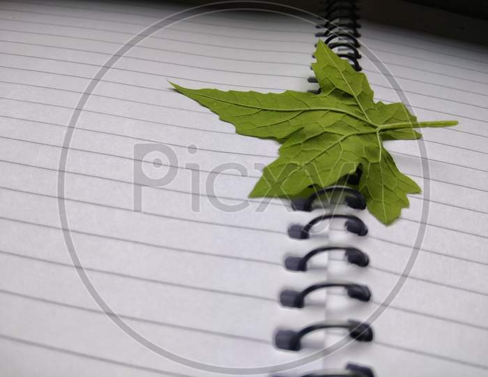 a green leaf top on a note book