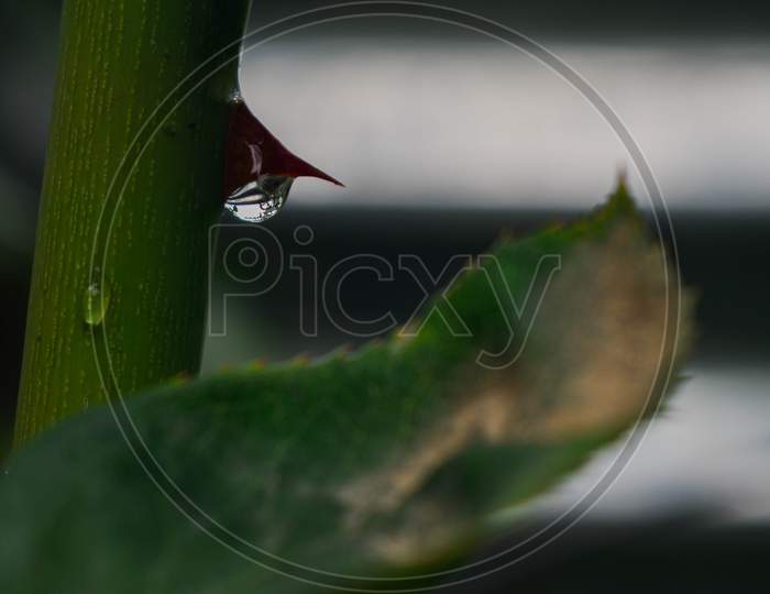 close-up of a waterdrop