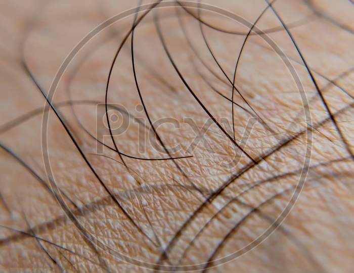 Extremely Close up of strands of hair root.
