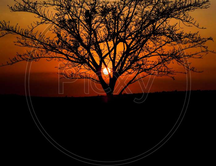 Natural Sunset, Silhouette photography