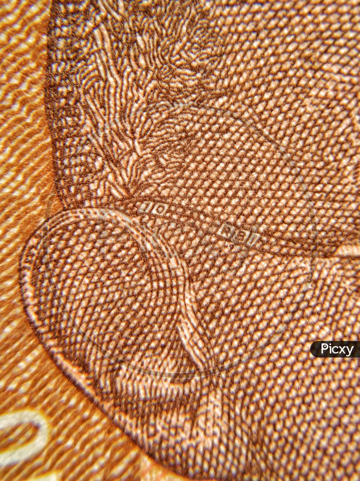 10 rupees Indian new note close Up, macro. demonetization.