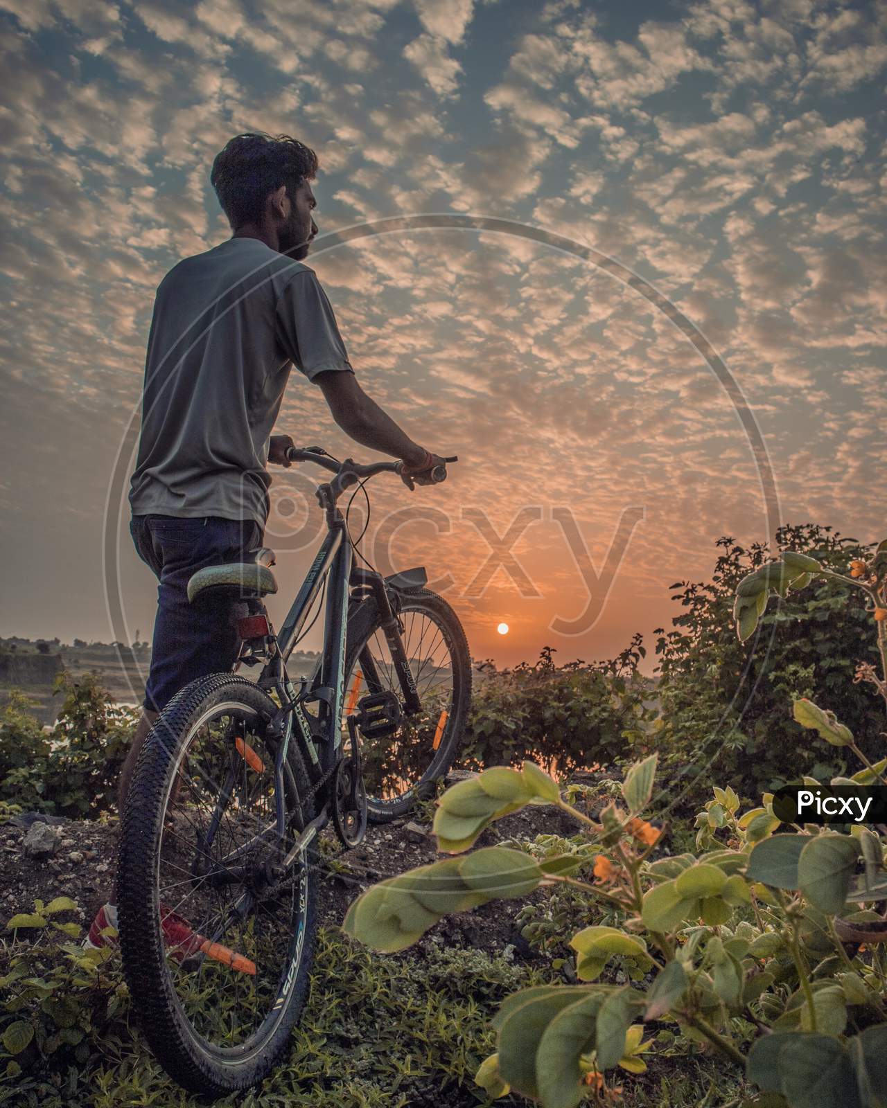 Sunrise with cycle