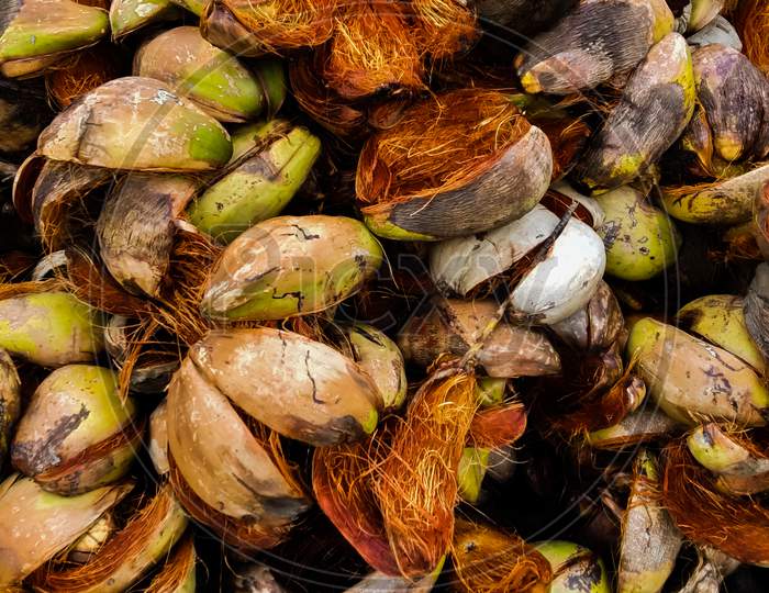 Coconut peel