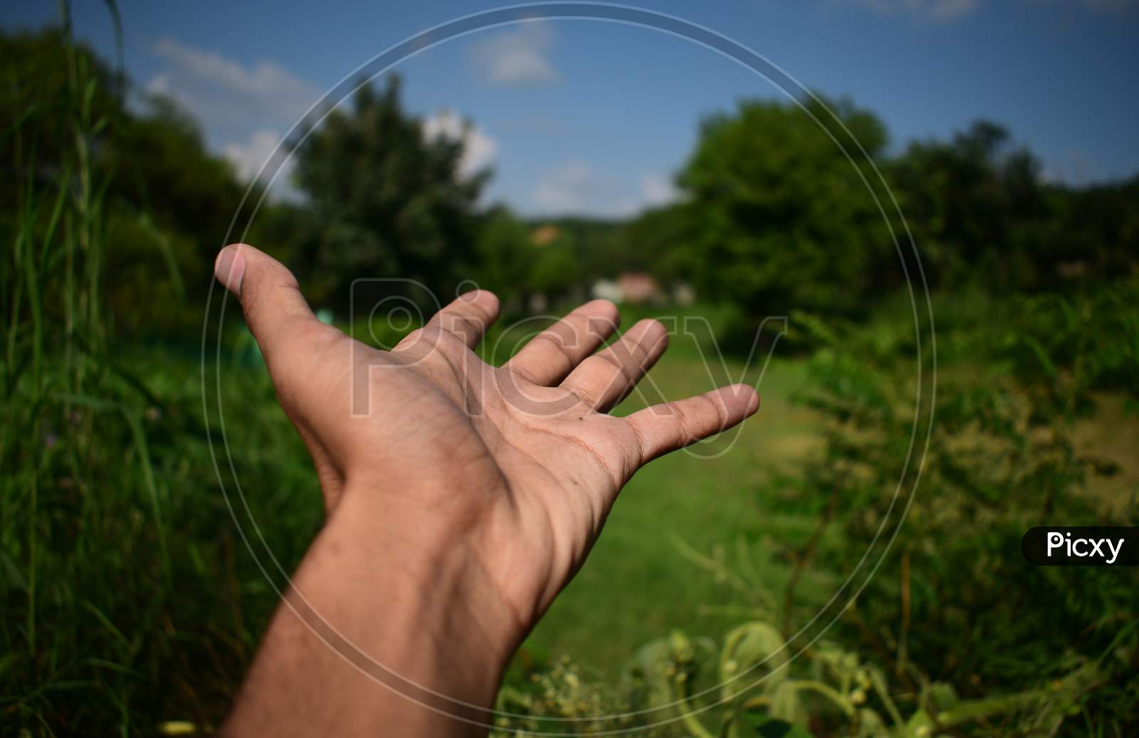 Hand of a Photographer