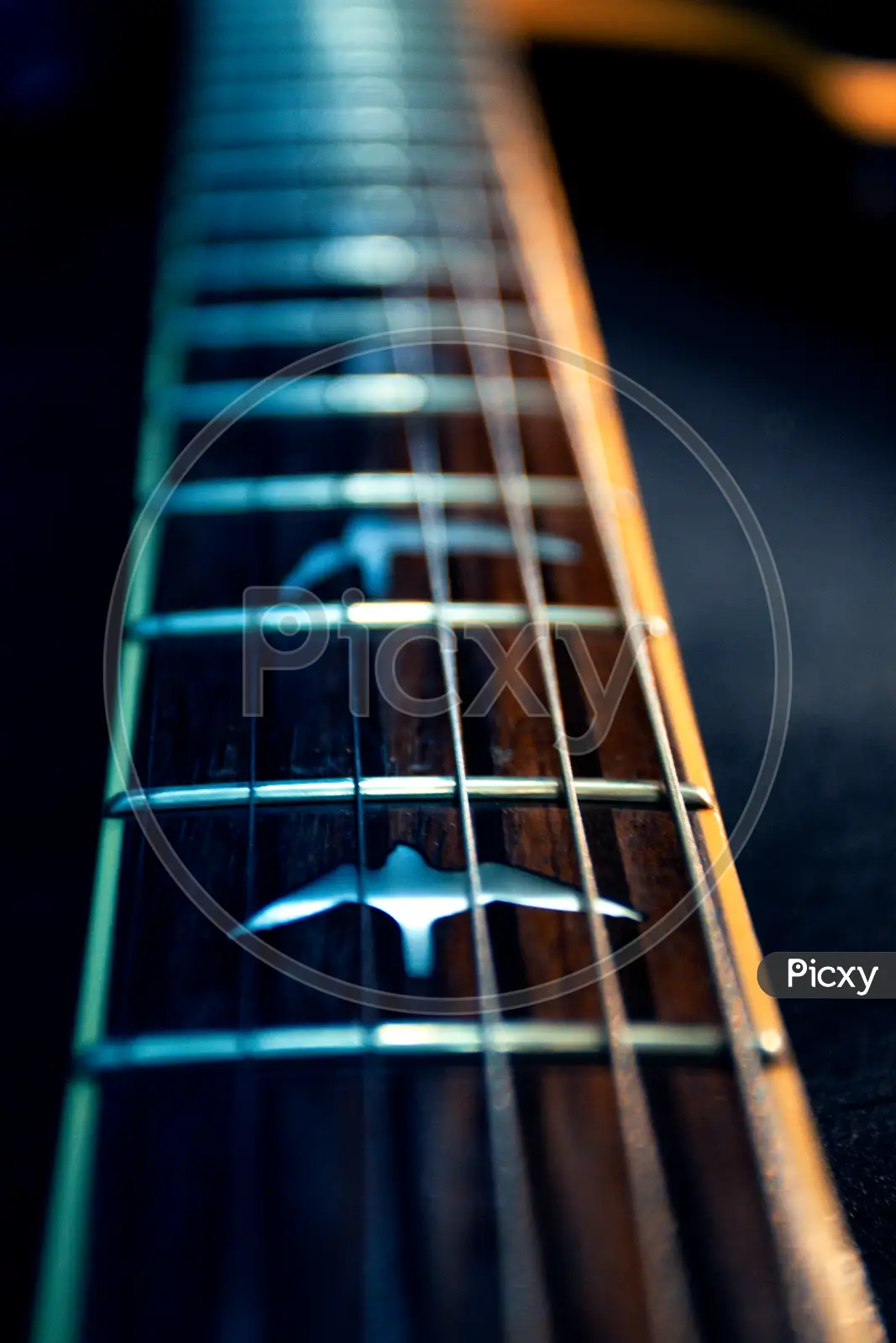 Blue guitar HD wallpapers  Pxfuel