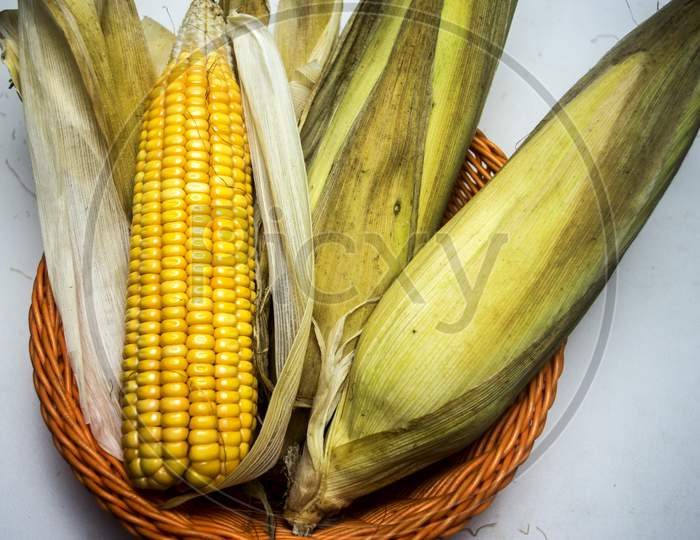 Raw Sweet Corn On Blurred Background With Dried Leaves