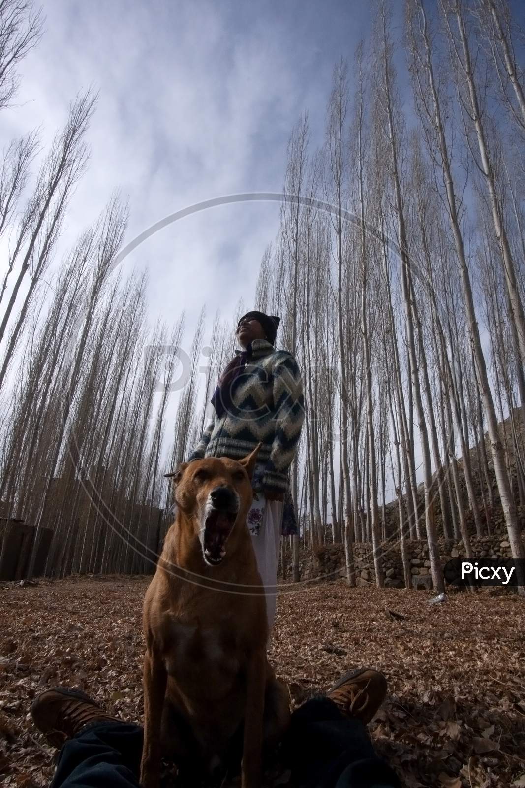 Friends Playing With Pet Dog In A Park In Autumn In Leh Ladakh