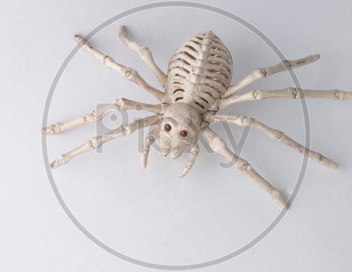 Scary Spider Skeleton Halloween Decor