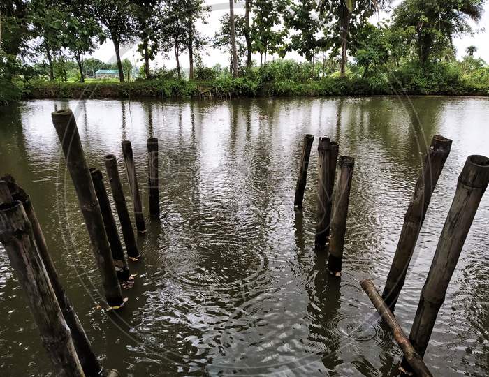 A Pond Ghat In A Village Made With Bamboo Pile