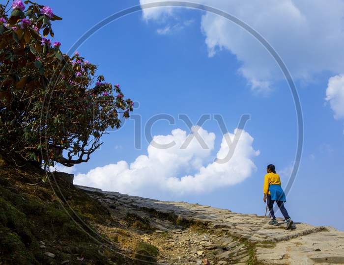 A Young Lady With Yellow Top Trekking Through A Ridge Towards Tunganath Temple In The Himalaya In India