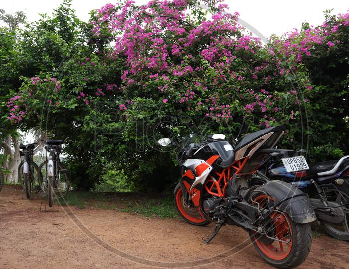 Duke bike with flower background