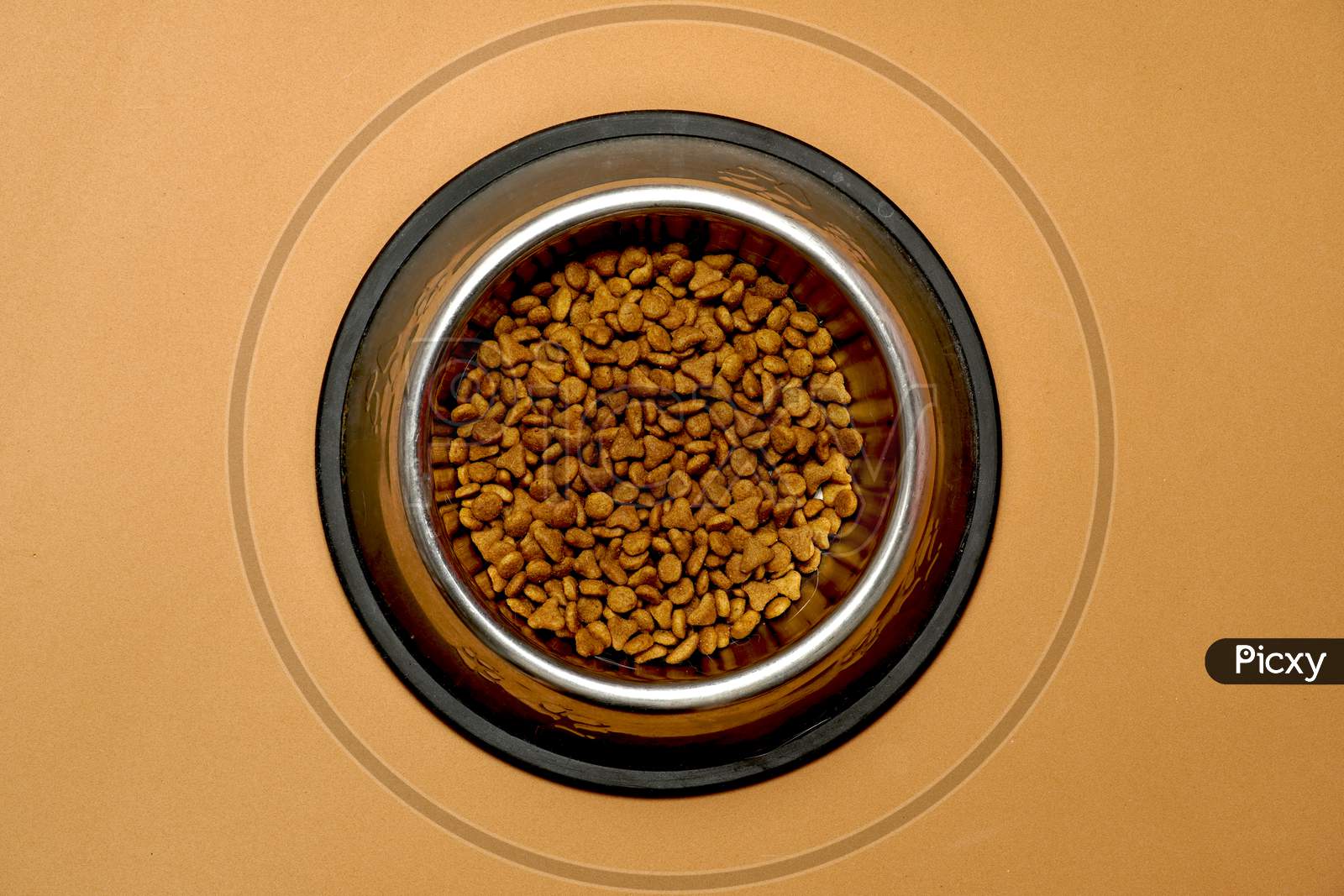 Top View Cat Food Inside Feeding Bowl. Flat Lay