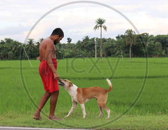vagabond playing with dog