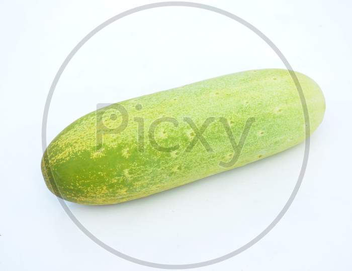 The Ripe Green Cucumber Isolated On White Background.