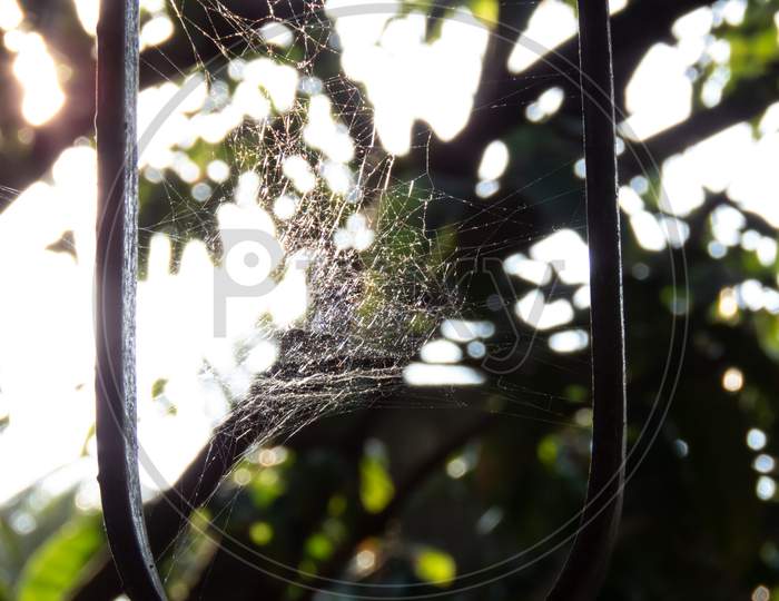 Sunlight On The Spider Web Or Dust Gather In The Window Corner.