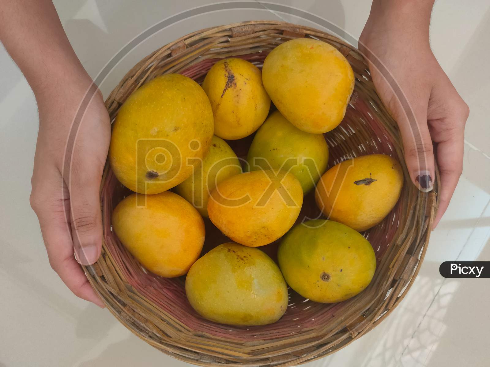 Hand Of Female Carrying Mango Fruit In Wooden Basket Putting On Ceramic Floor Tile Background.