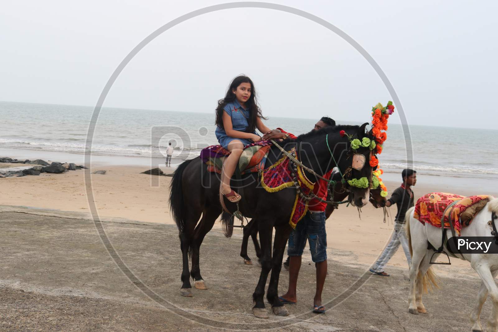Horse riding at seaside