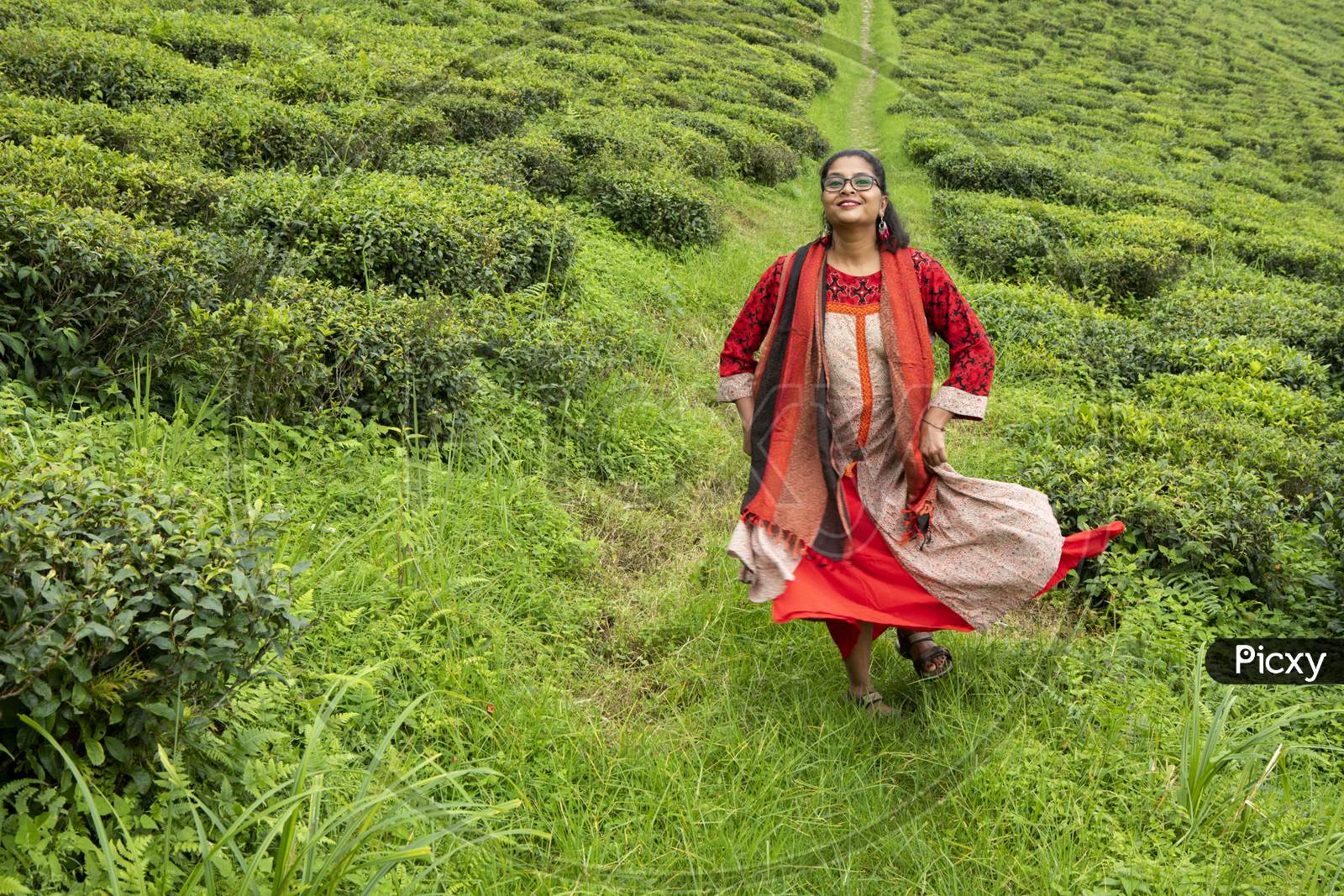 A Young Lady With Red Clothes In A Tea Garden