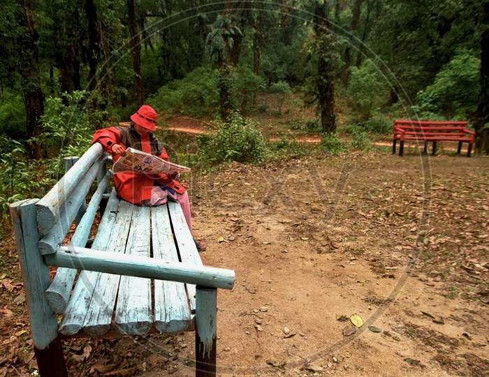 A Lonely Lady Reading Newspaper On A Wooden Bench In A Calm And Quiet Forest