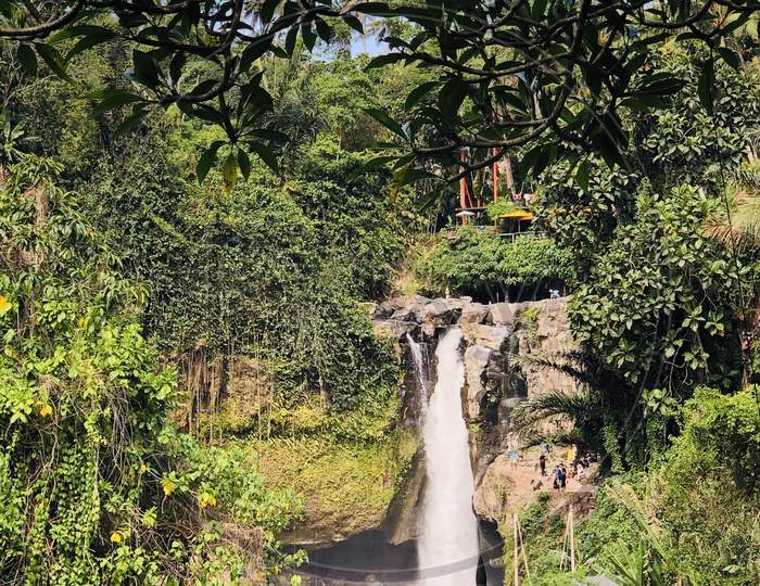 Waterfall Jungle View