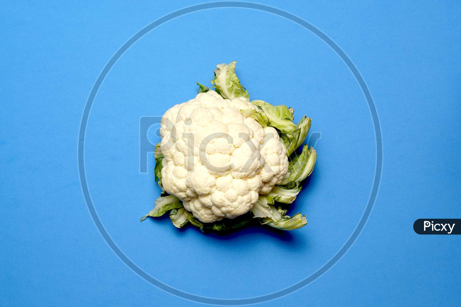 Cauliflower Top View On Blue Background. Vegetarian Or Vegan Concept. Flat Lay Flat Design