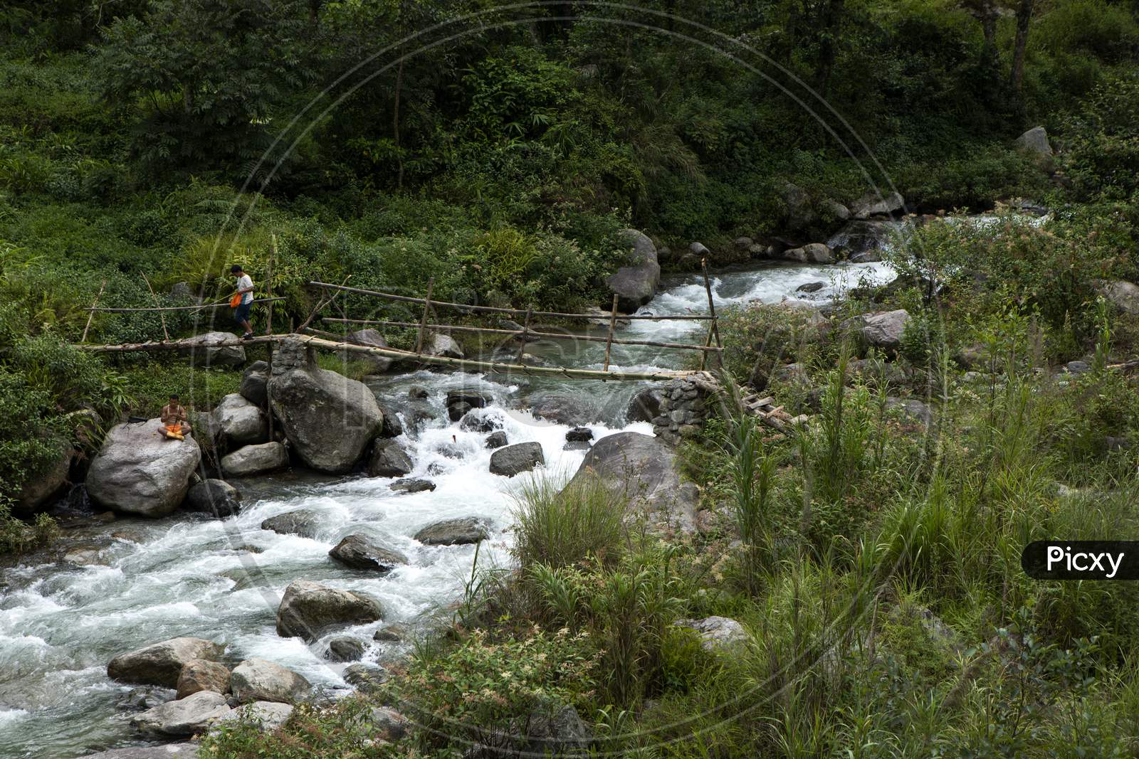 Two Fishermen Enjoying Fishing By Crossing The River Through A Bamboo Bridge Inside A Forest In Sikkim In India