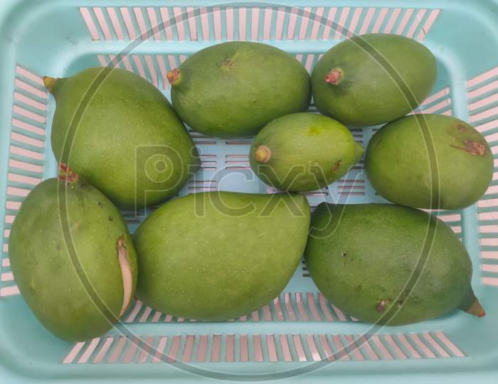 Green Mangoes On Plastic Basket And Old Wooden Floor Background.