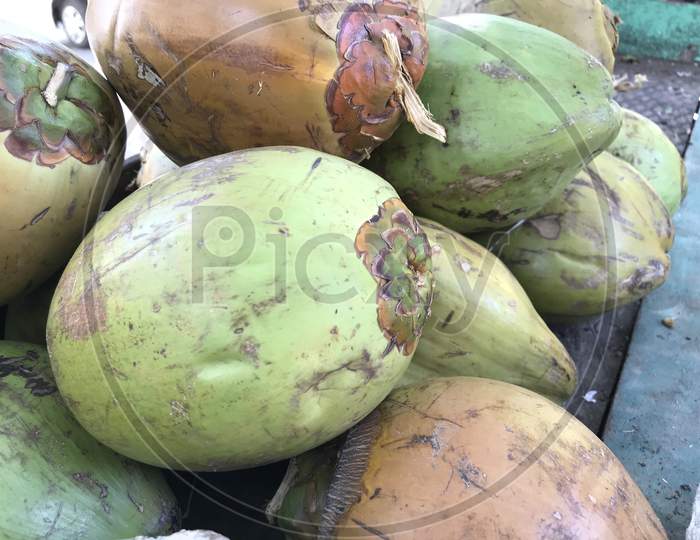 Fresh Natural Tender Coconut Shell Is An Energetic Natural Healthy Drink And Is The Best For Summer Time To Reduce Heat In Human Body