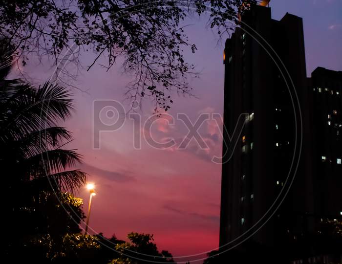 Gradient sky, pink,grey,blue,purple, tower, tree, sunset, palm romantic evening