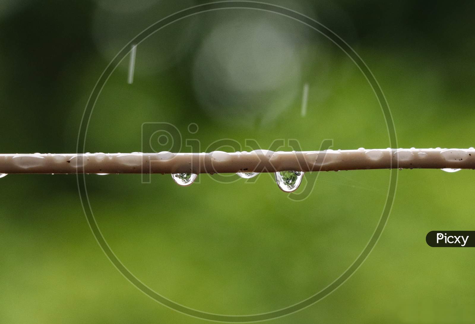 Rainy Day Water Drop Stock Photo Wallpaper