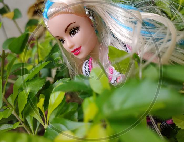 Doll Photography