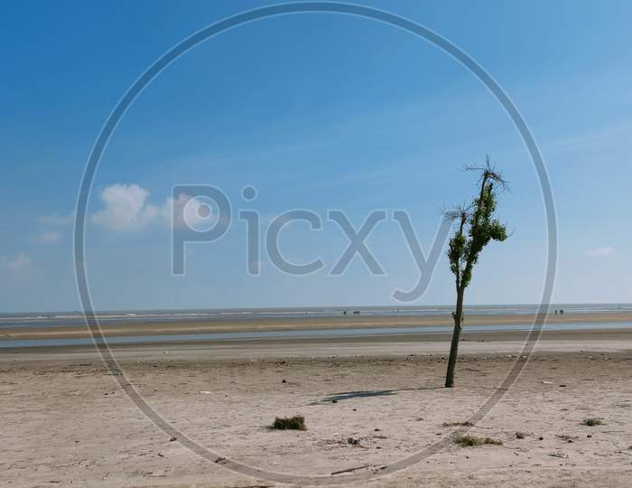 Desolate Bakkhali Sea Beach