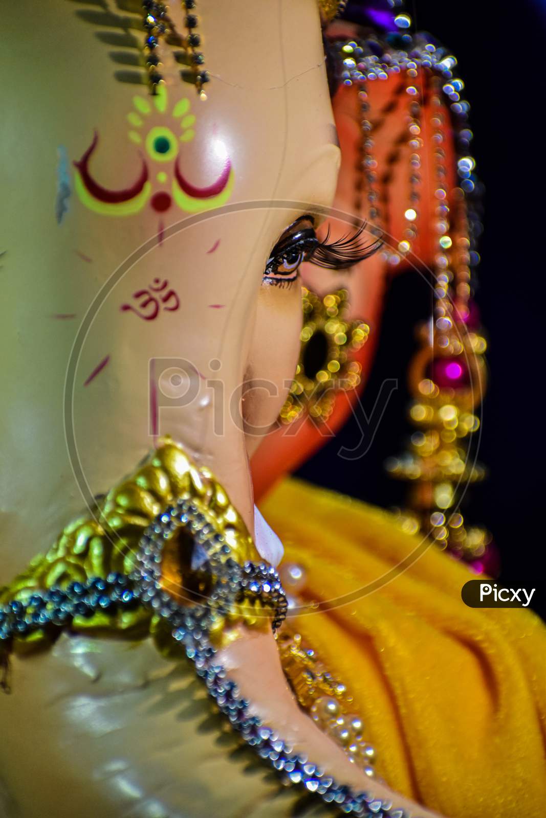 Ganesha eyelash macro photography