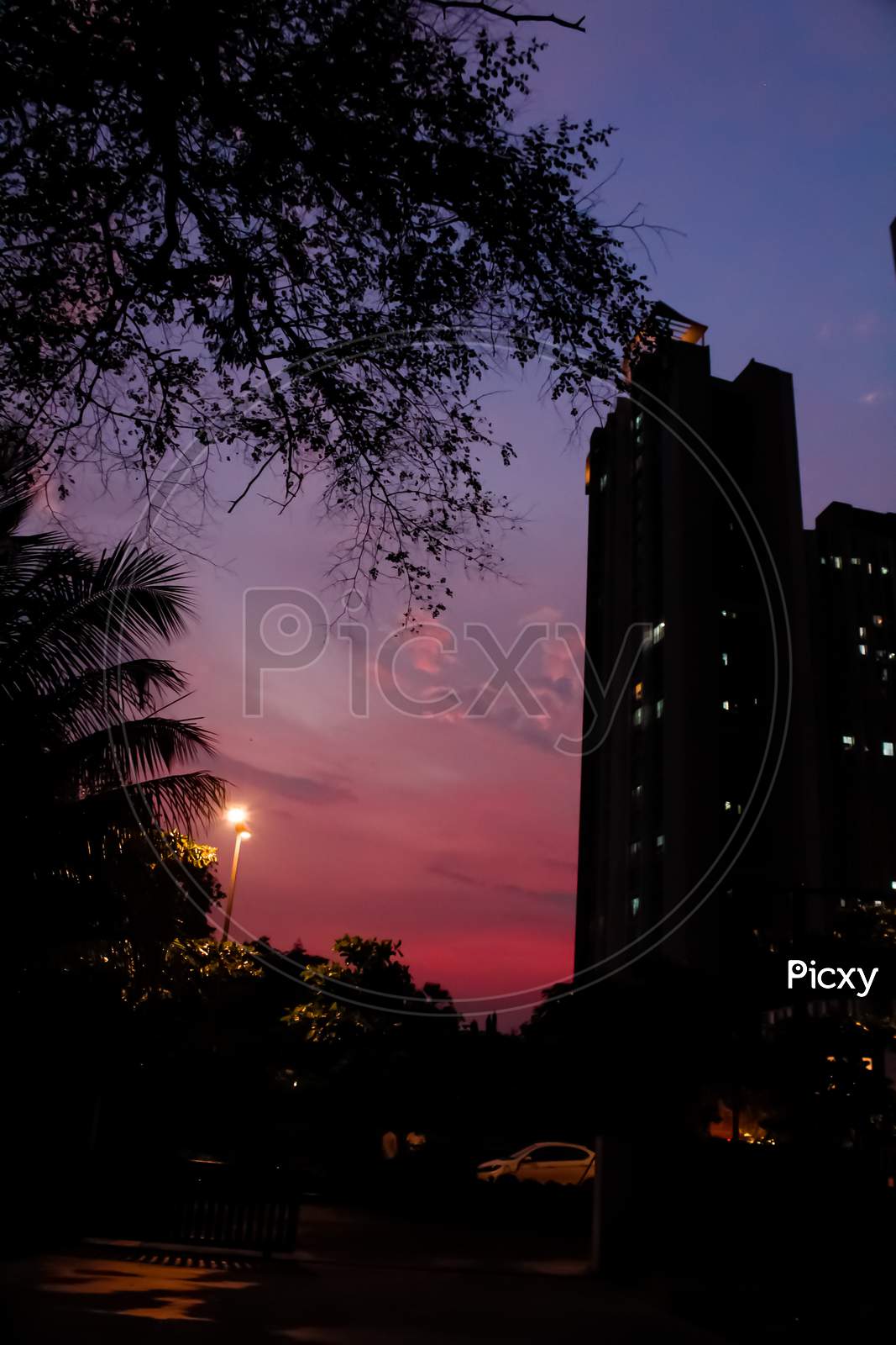 Gradient sky, pink,grey,blue,purple, tower, tree, sunset, palm romantic evening