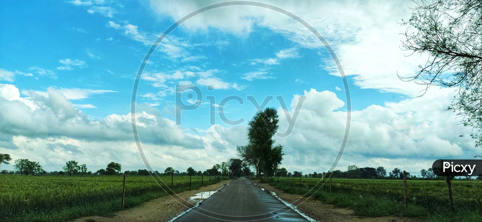 A beautiful road. Nature photography