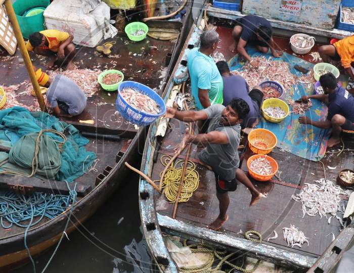 A fisherman throws a basket filled with fish to sellers at a fish market amidst the spread of the coronavirus disease (COVID-19) in Mumbai, India on September 7, 2020.
