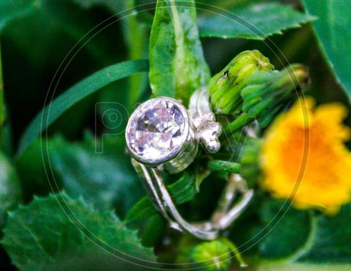 Creative diamond ring macro product photoshoot nature