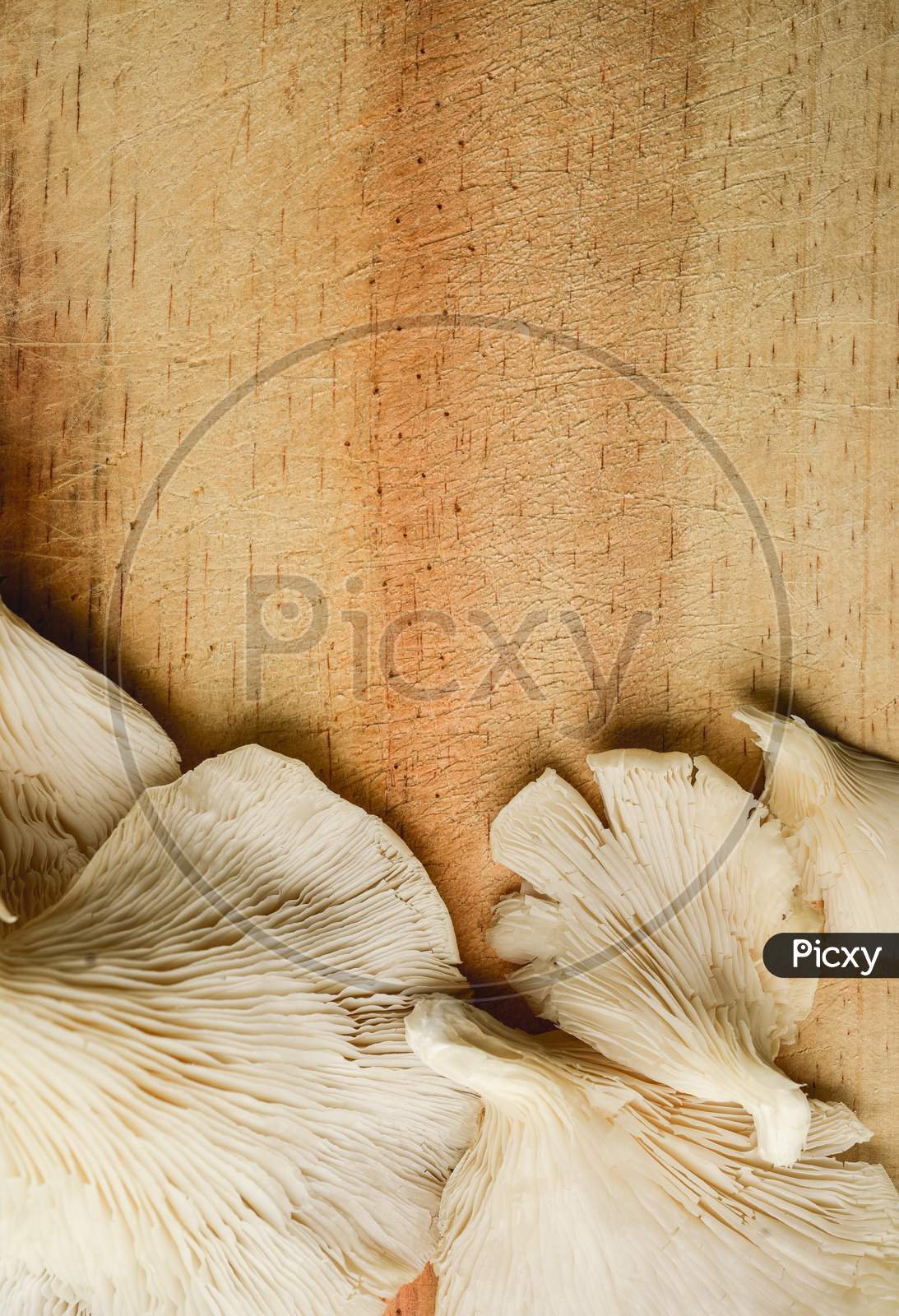 Top View Of Edible Mushrooms On A Woode Kitchen Cutting Board