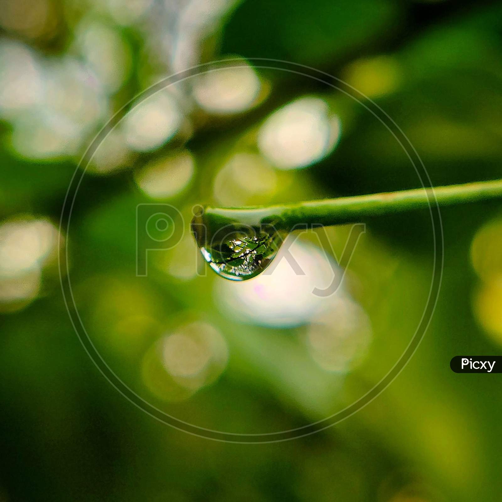 Water droplet macro shot