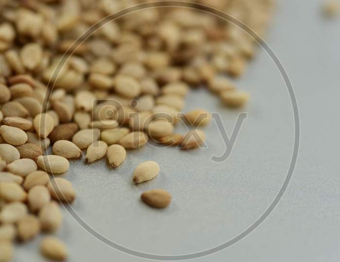 Macro Close Up Of Sesame Seeds, Selective Focus