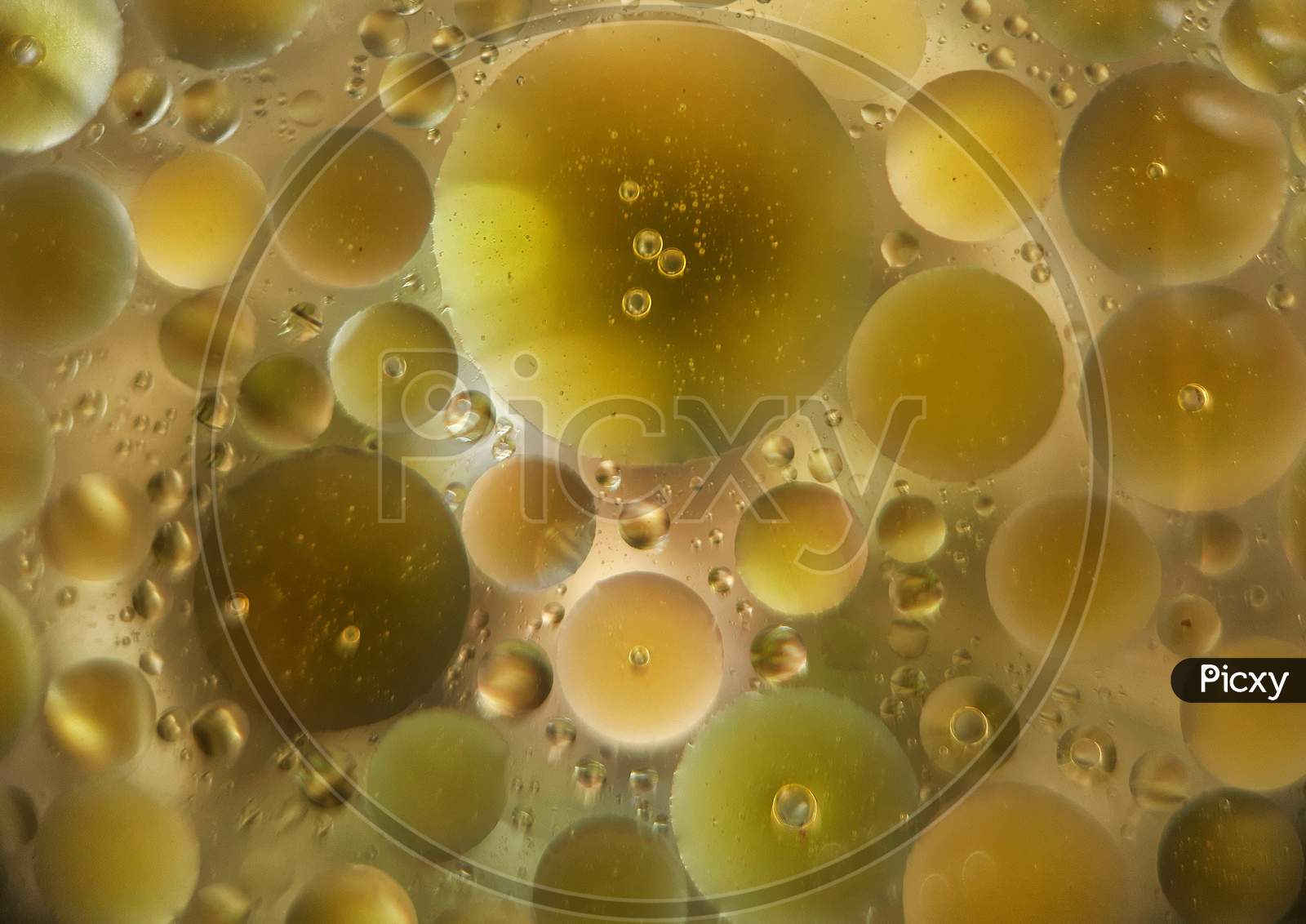 Detergent and oil in water, macroshot